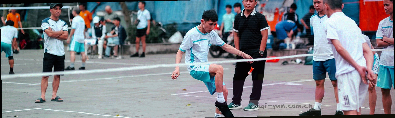 细线刻度与坐标点构成的抽象纹理，深墨绿与电子蓝交错排列，无文字与人物