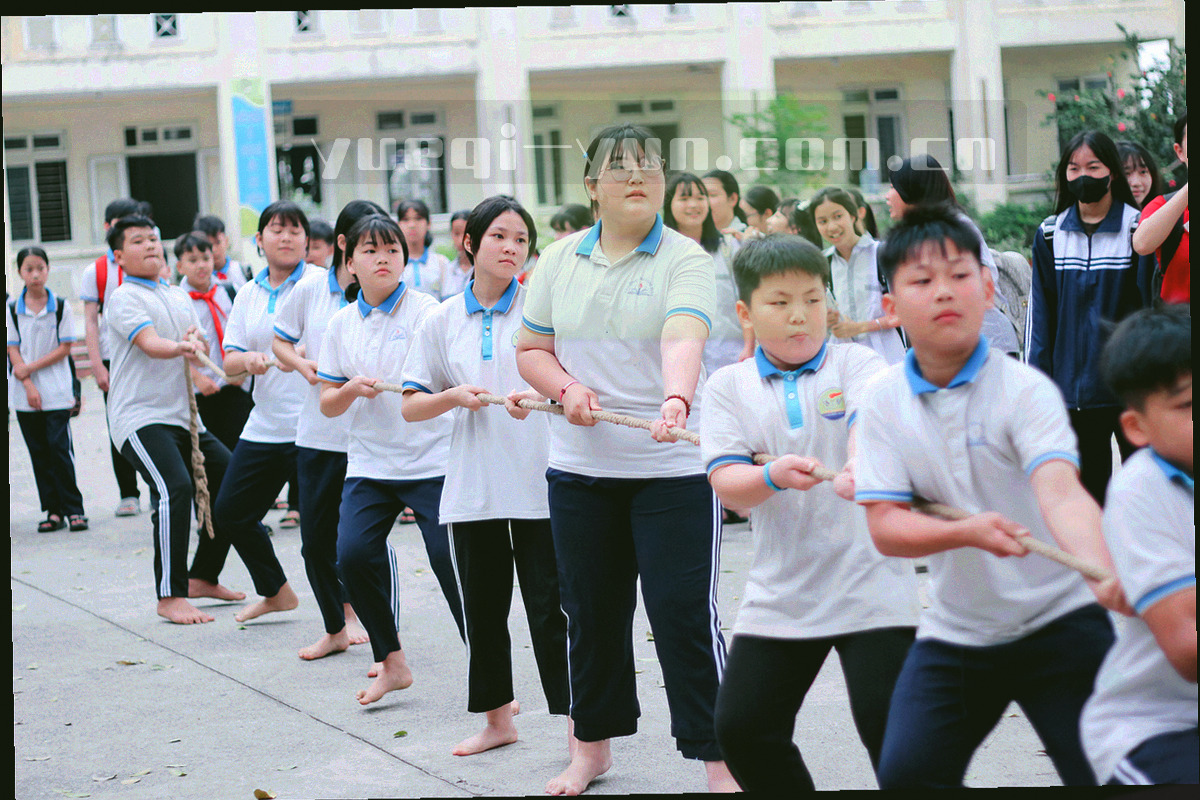 高原清晨从看台俯瞰赛场的冷调广角，青雾弥漫，场地边线清晰可辨